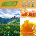 100% nature pure honey for sale